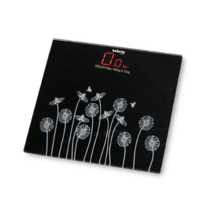 Personal Scale EB-3020A